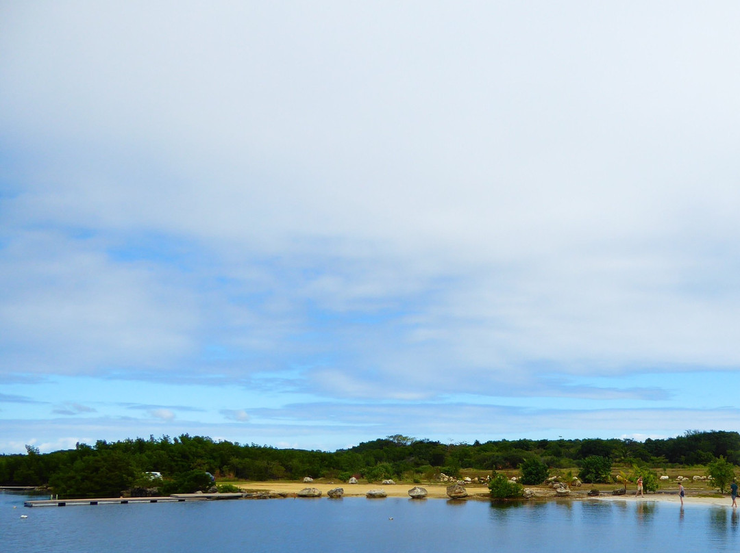 Parc Paysager de Petit-Canal