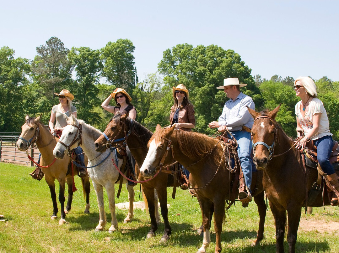 Horseback Riding at Barnsley Resort-Adairsville必去景点