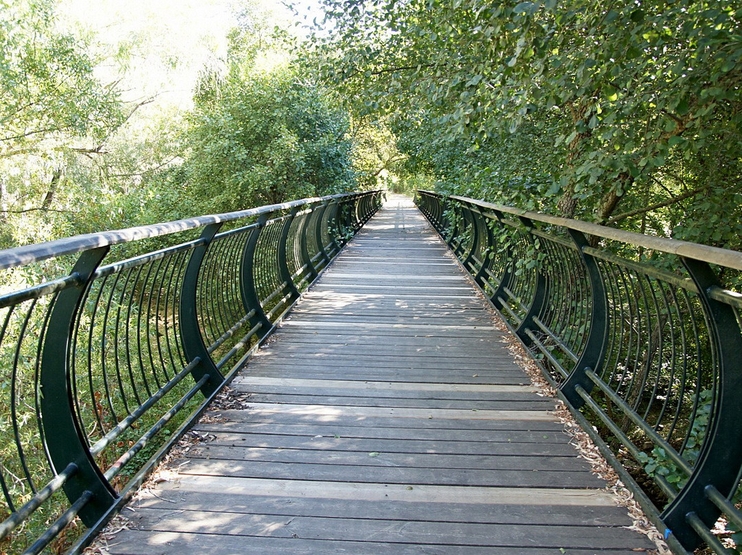 Bicicletas Verde Via景点图片