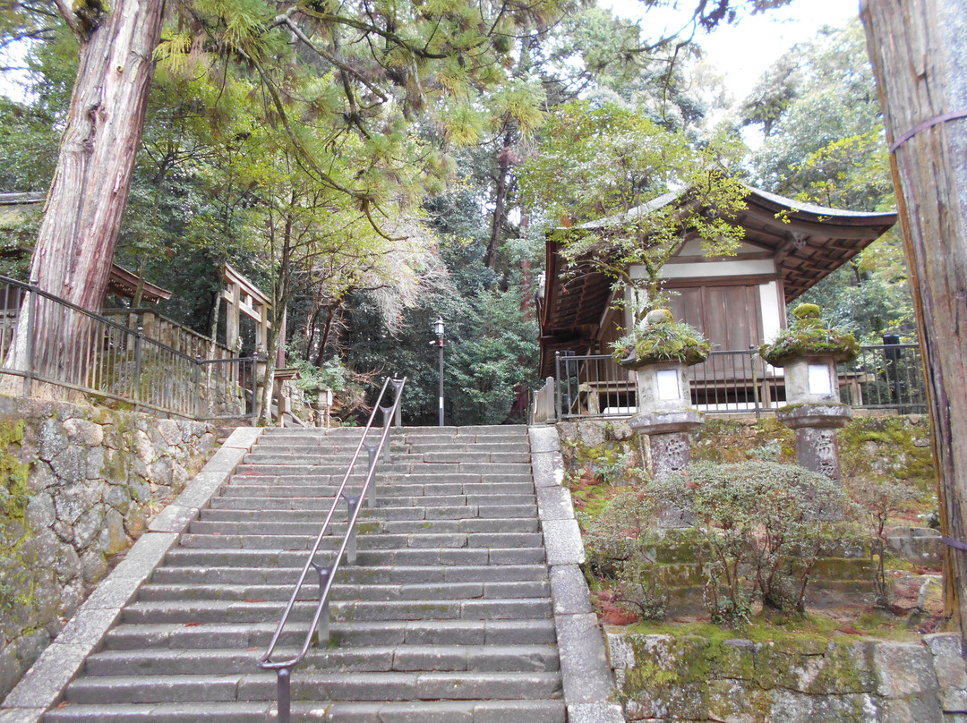 Isonokami Jingu Sessha Izumo Takeo Shrine Haiden景点图片