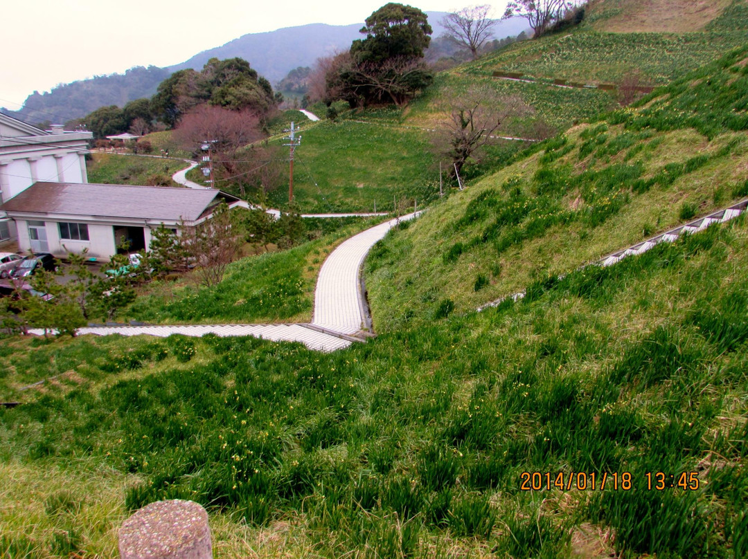 Echizen Suisen no Sato Park景点图片