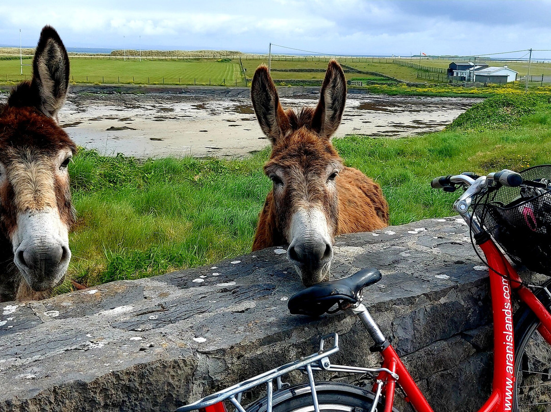 Kilronan Holiday Homes