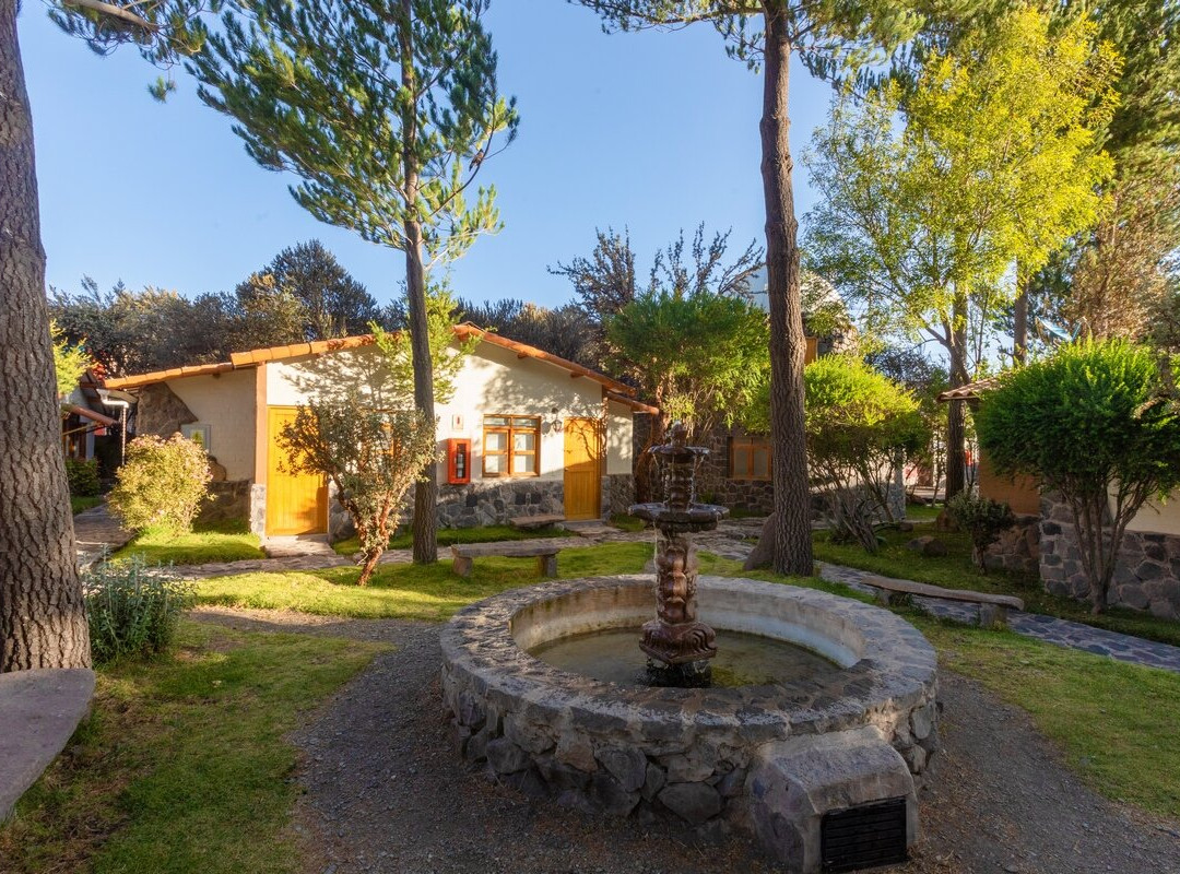 Arequipa Region酒店住宿-Casa Andina Standard Colca