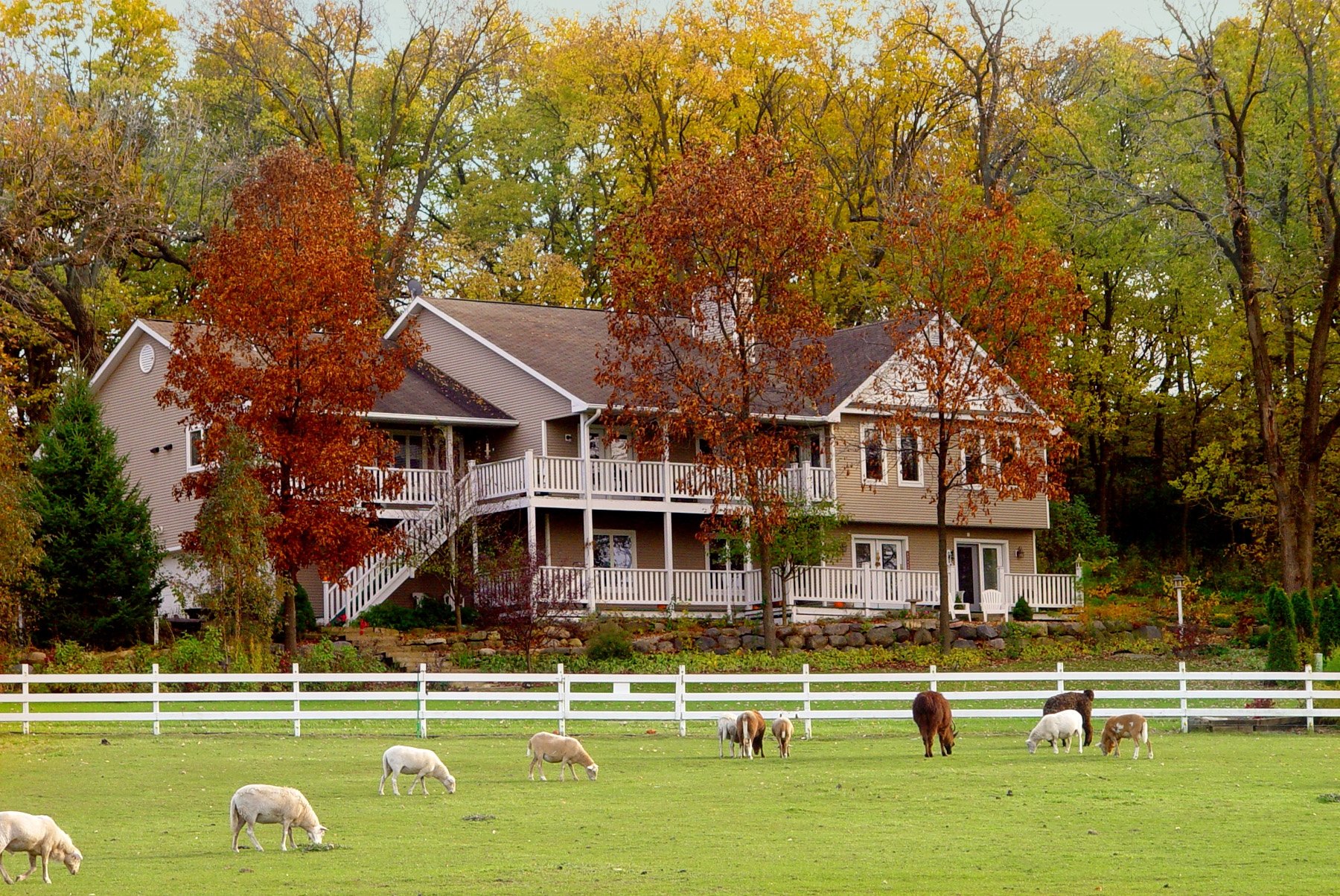 The Speckled Hen Inn Bed & Breakfast-官方