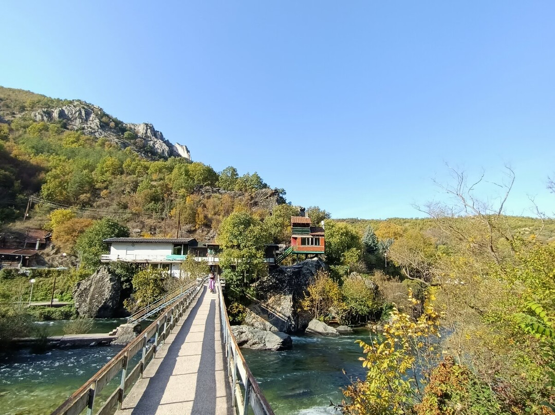 Skopje Region餐馆和美食-Fish Restaurant