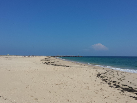 Animaris Ilha Deserta-法罗必去景点