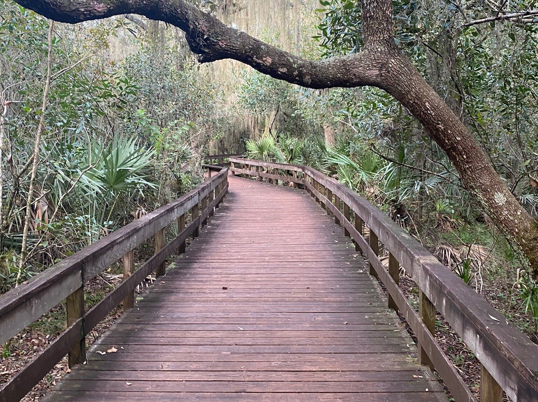 Turkey Creek Sanctuary景点图片