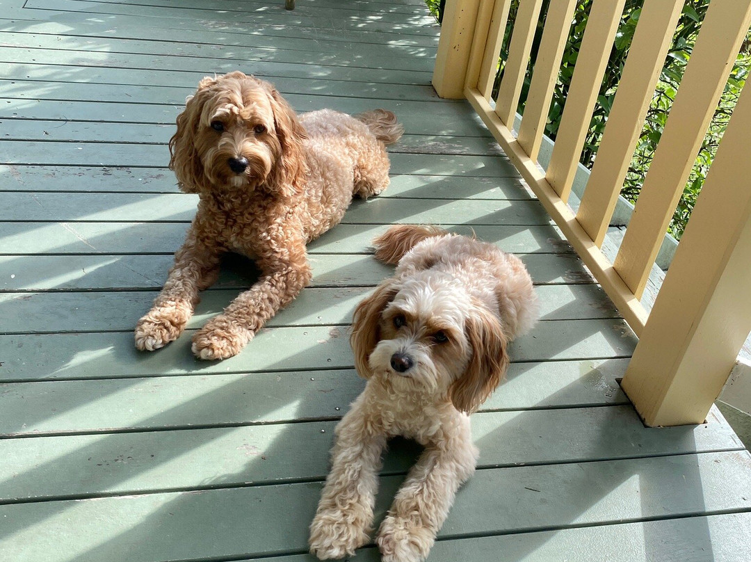 Noosa Hinterland Bed & Breakfast主图