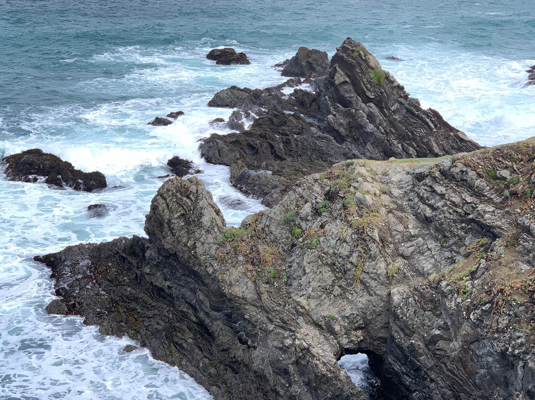 Mendocino Headlands State Park景点图片