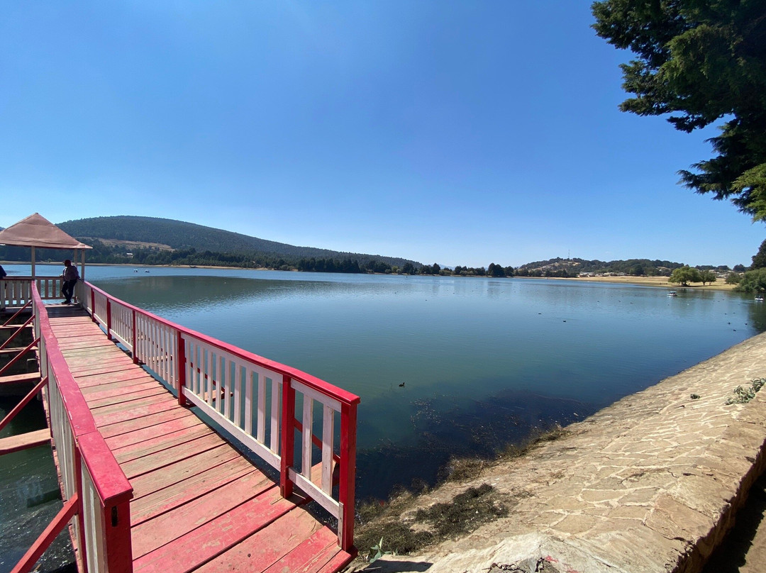 Presa Brockman景点图片