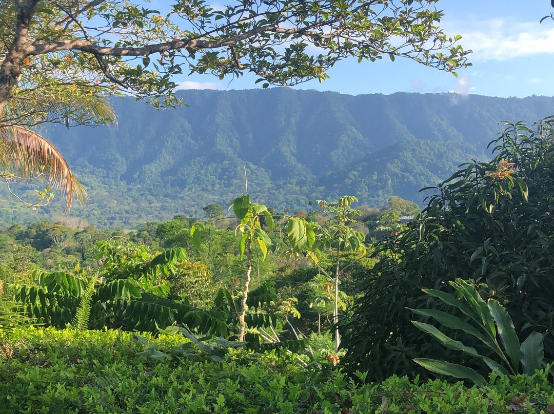 Alma De Ojochal主图