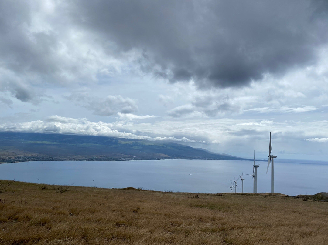 Lāhainā Pali Trail-拉海纳必去景点
