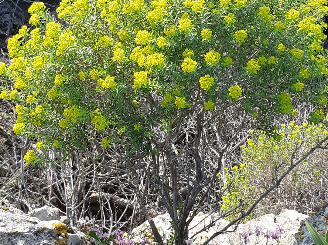 Ayit Water fall-Katzrin必去景点