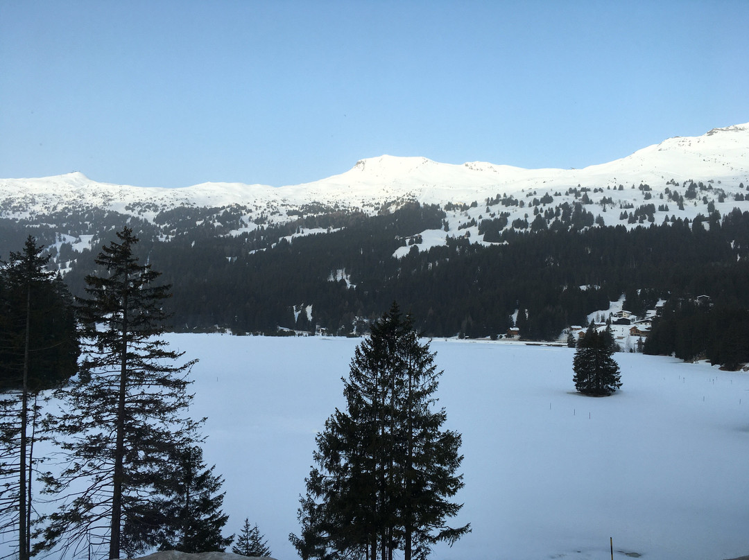 Revier Mountain Lodge Lenzerheide主图