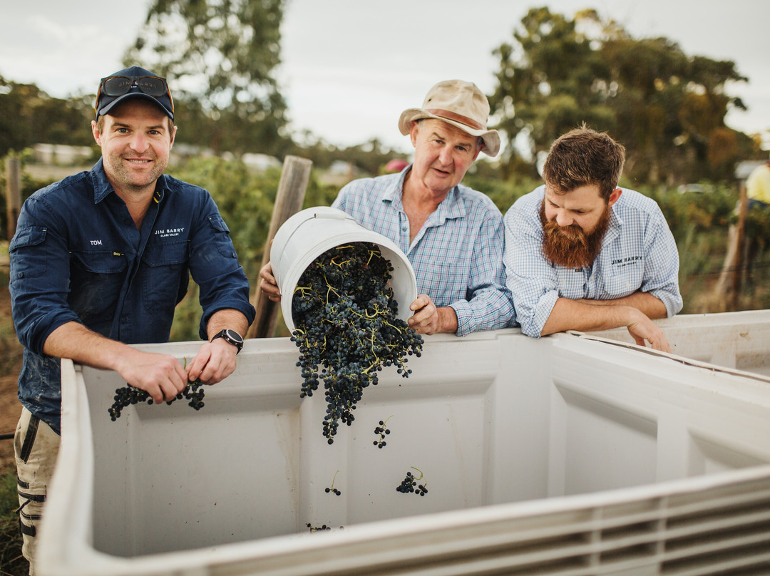 Jim Barry Wines-克莱尔必去景点