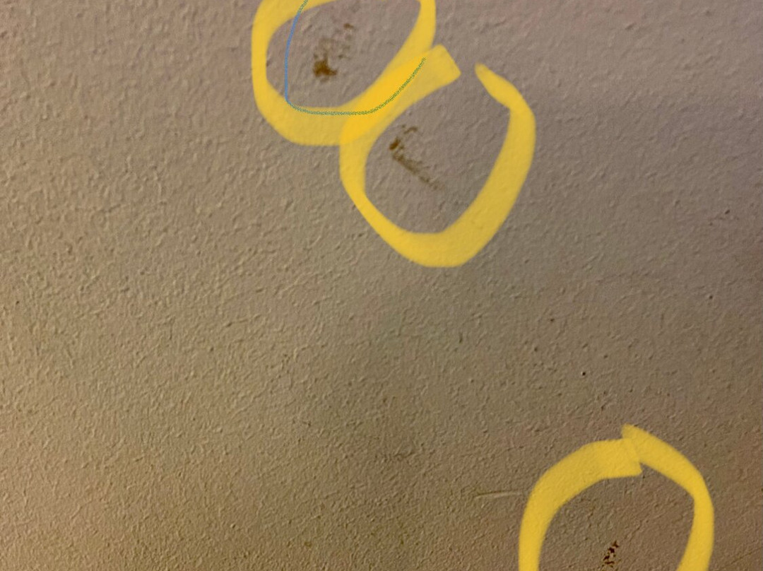 埃文斯顿希尔顿恒庭酒店主图