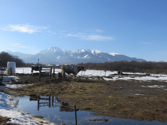 Takizawa Ranch-南牧村必去景点