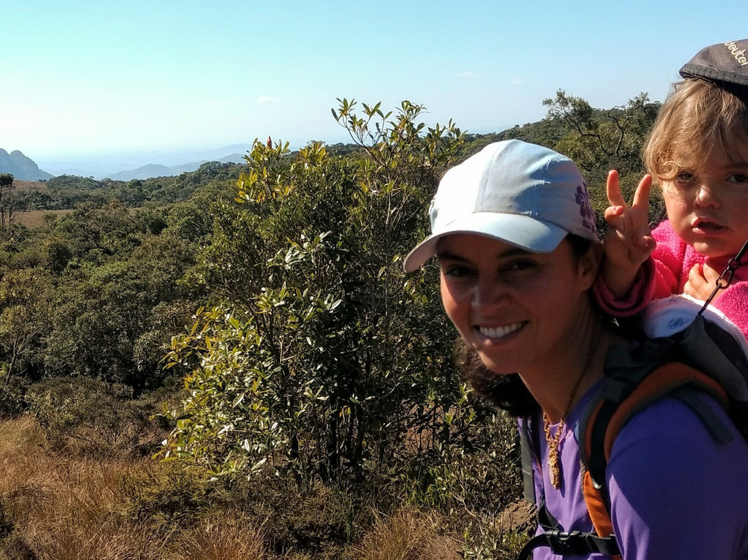 Pico do Papagaio景点图片