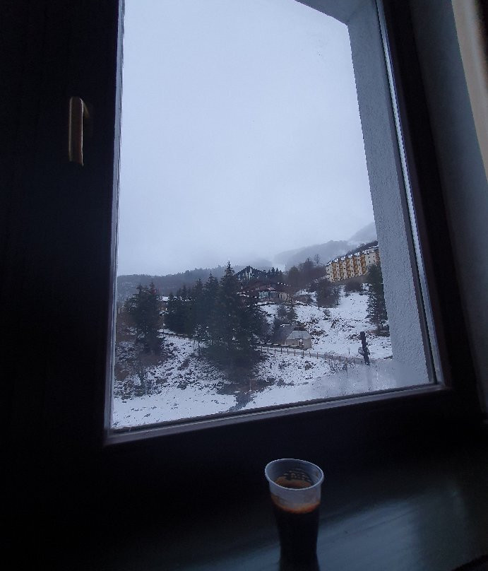Alpine Hotel主图