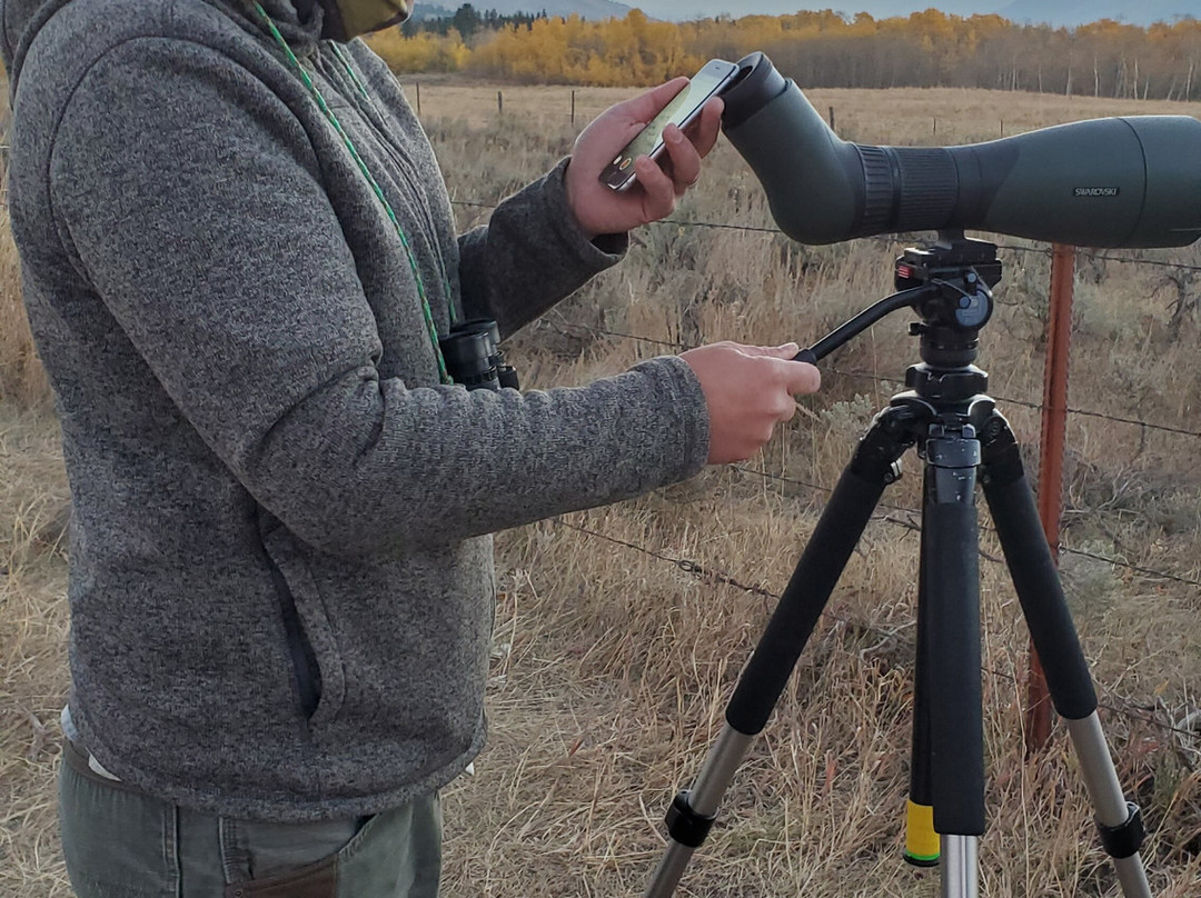 Yellowstone Insight - Day Tours-加德纳必去景点