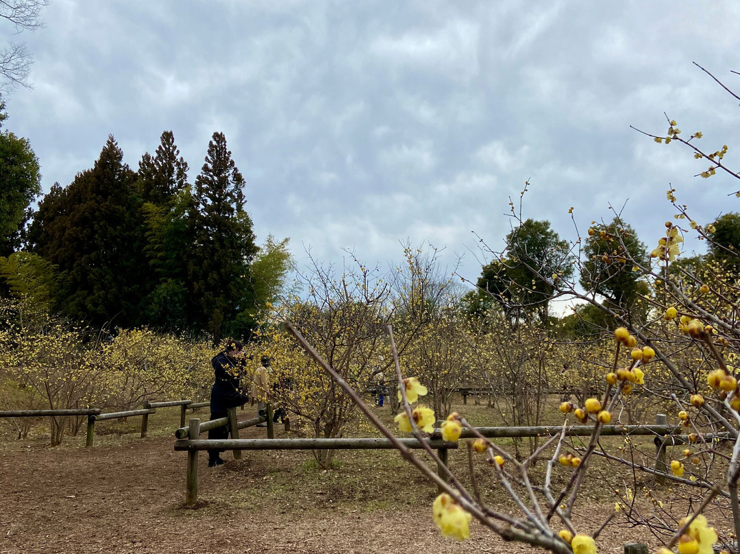 Robai Park-所泽市必去景点