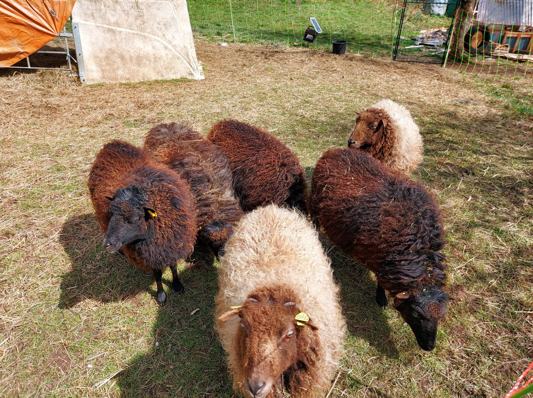 Das Ziegenstückle-Reichenbach an der Fils必去景点