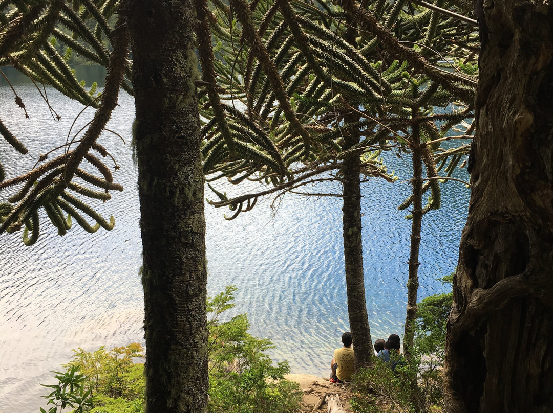 Huerquehue National Park-普孔必去景点