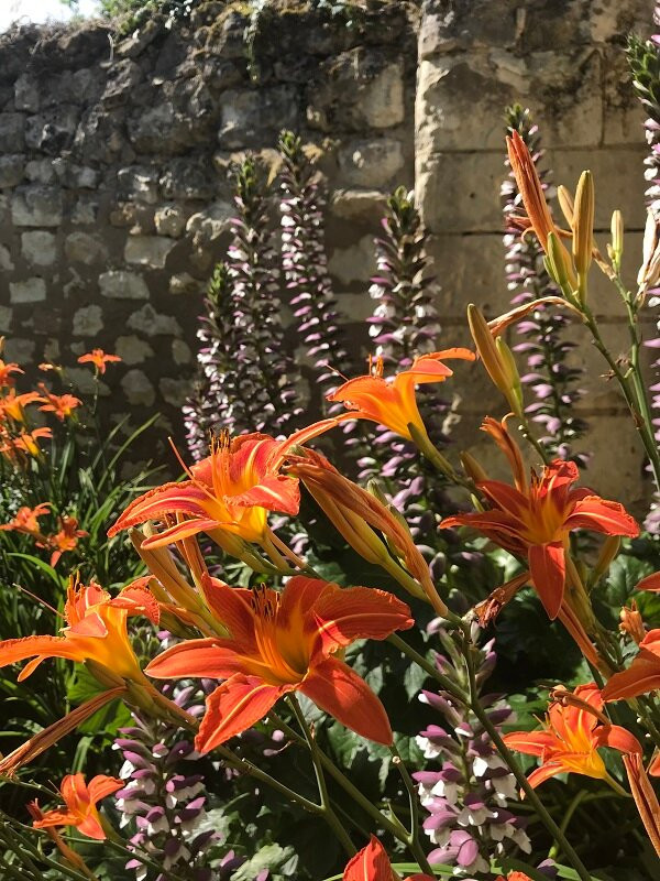 Le Presbytère de Beaulieu主图