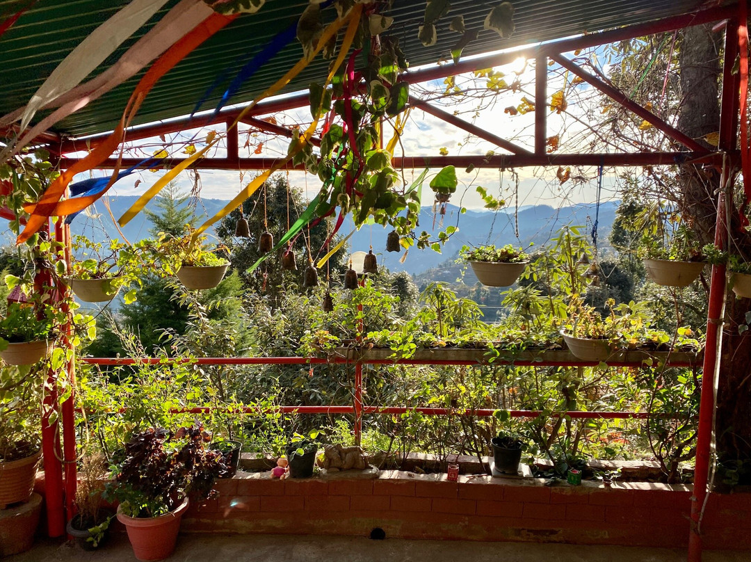 Mystic Mukteshwar lodge主图