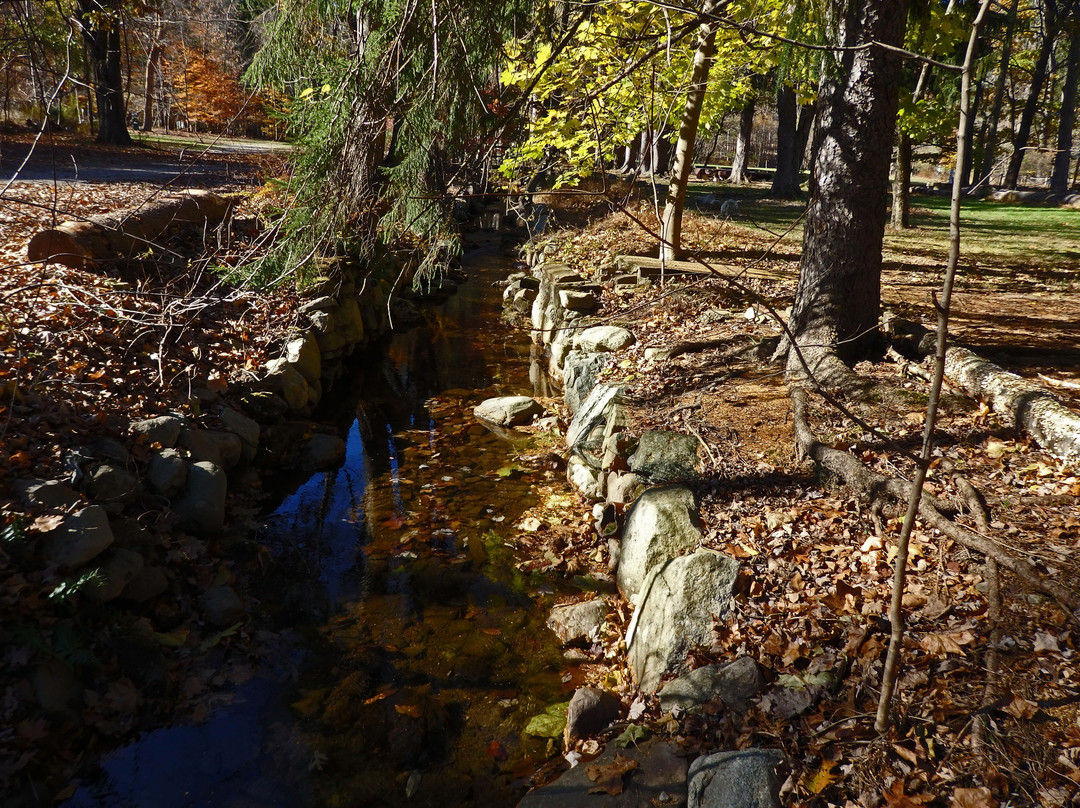 Norvin Green State Forest景点图片