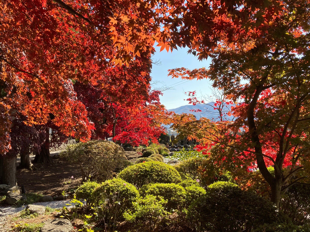 Choen-ji Temple-茅野市必去景点
