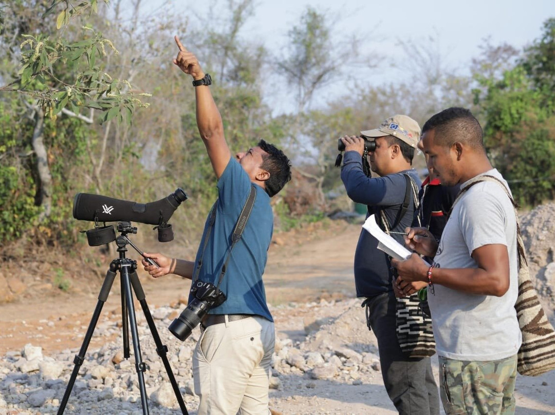 Guajira Birding Travel-Camarones必去景点