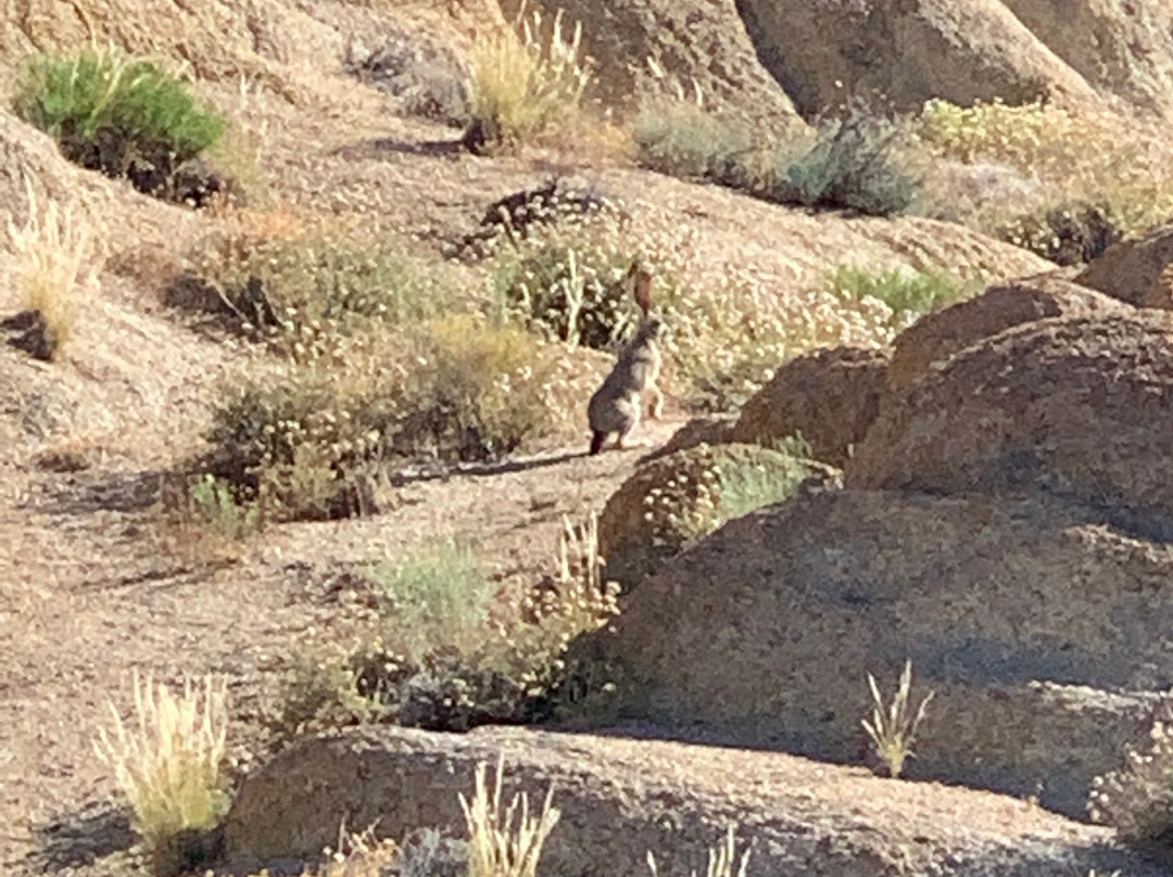 Mobius Arch Loop Trailhead-隆派恩必去景点
