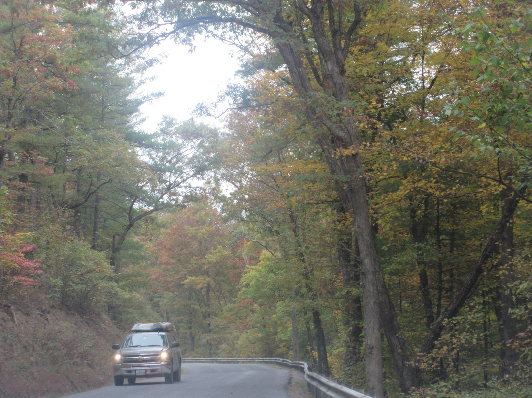 Green Ridge State Forest-Flintstone必去景点