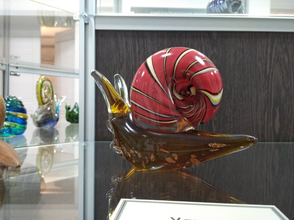 Snail Farm景点图片