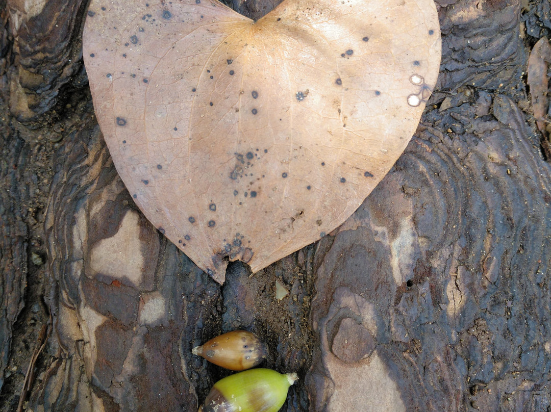 Banos de Popea-科尔多瓦必去景点