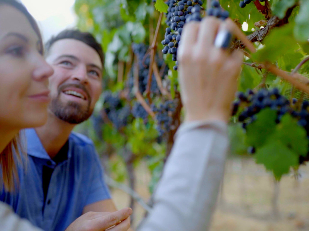 Corcelettes Estate Winery-Keremeos必去景点