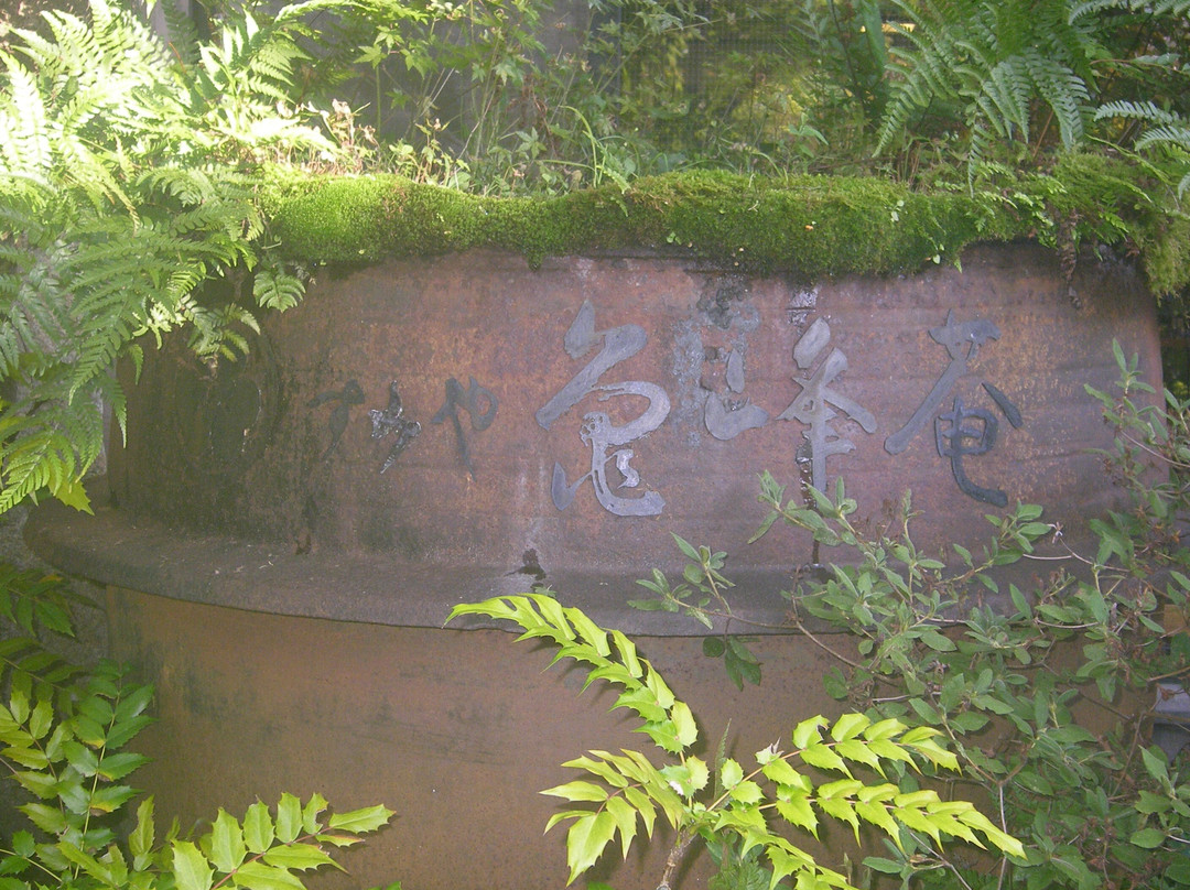 Sumiya龟峰庵日式温泉旅馆主图