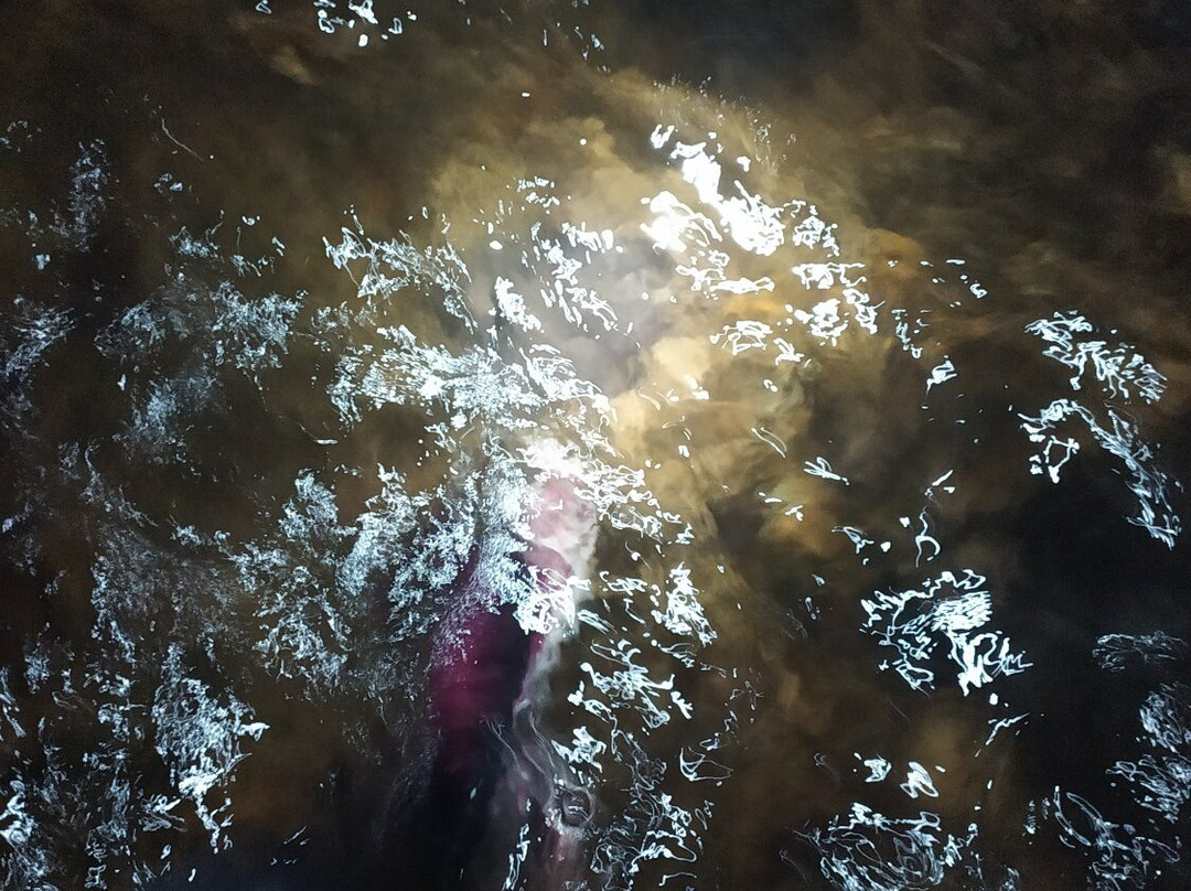 Caverna Terra Ronca 1-Sao Domingos必去景点