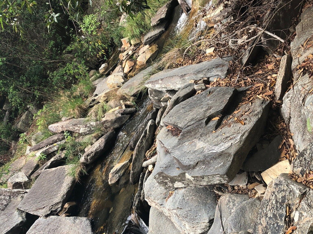 Parque Ecologico Do Paredao景点图片