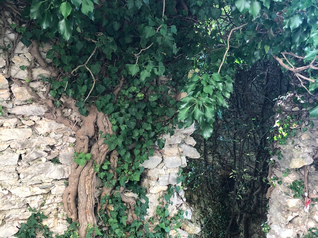 Borgo di Monte Antuni-Castel di Tora必去景点