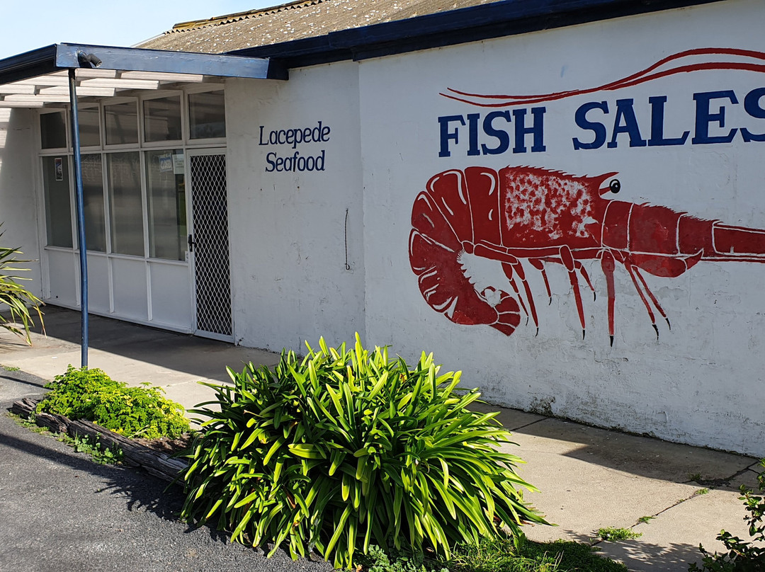 Kingston Jetty-金斯顿镇必去景点