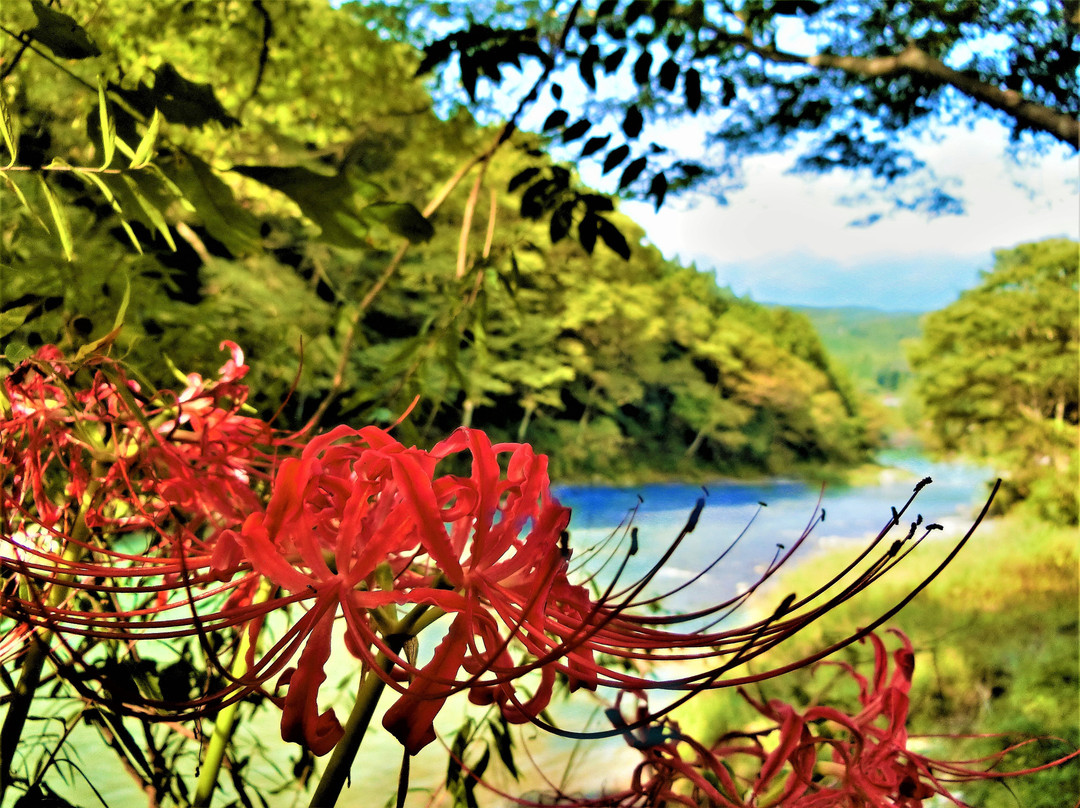 Mitake Valley-青梅市必去景点