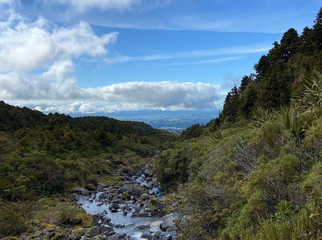 Wilkies Pools Loop Track景点图片