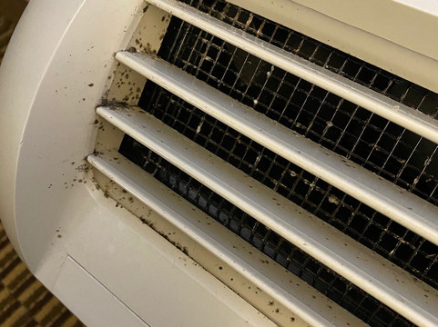 （尼古拉斯维尔）洲际智选假日酒店列克星敦西南主图