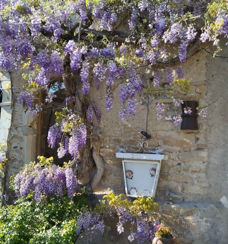 Villa Mouchoux主图