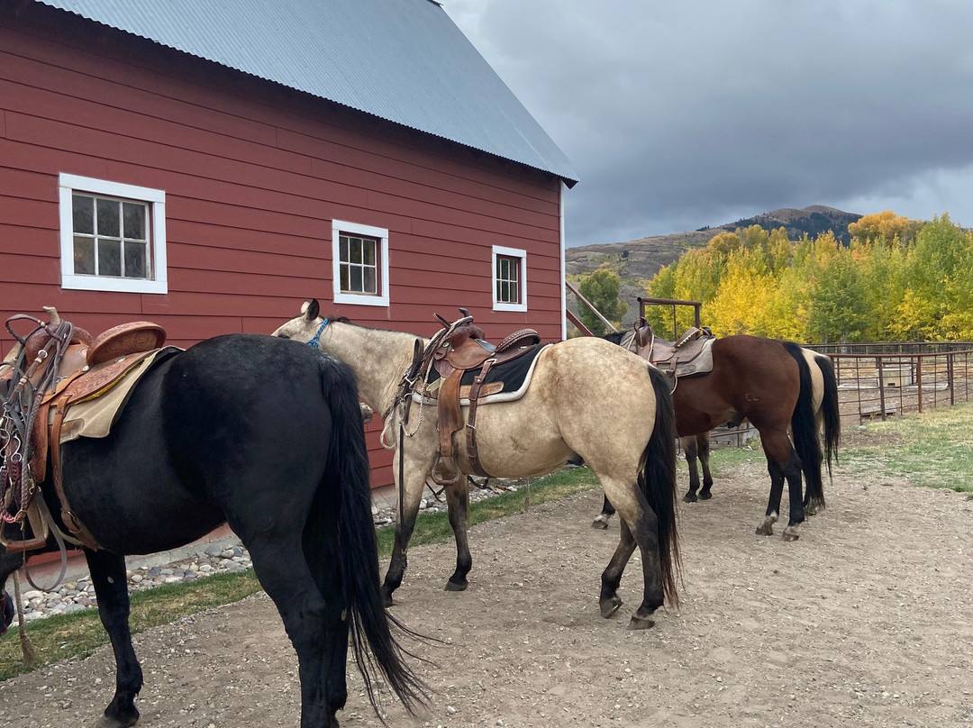 Introduction To Rodeo-威尔逊必去景点