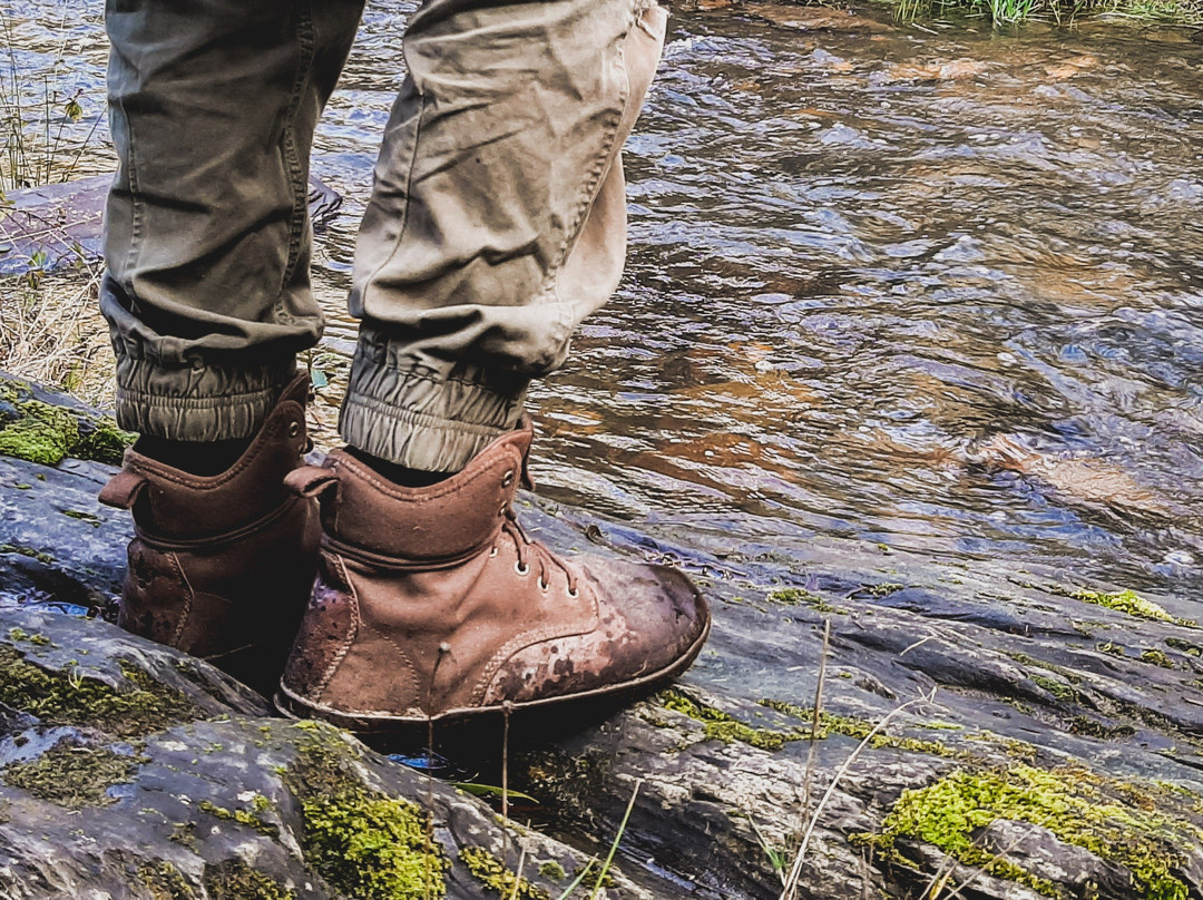 Wild Mindfulness Australia-戴尔斯福特必去景点