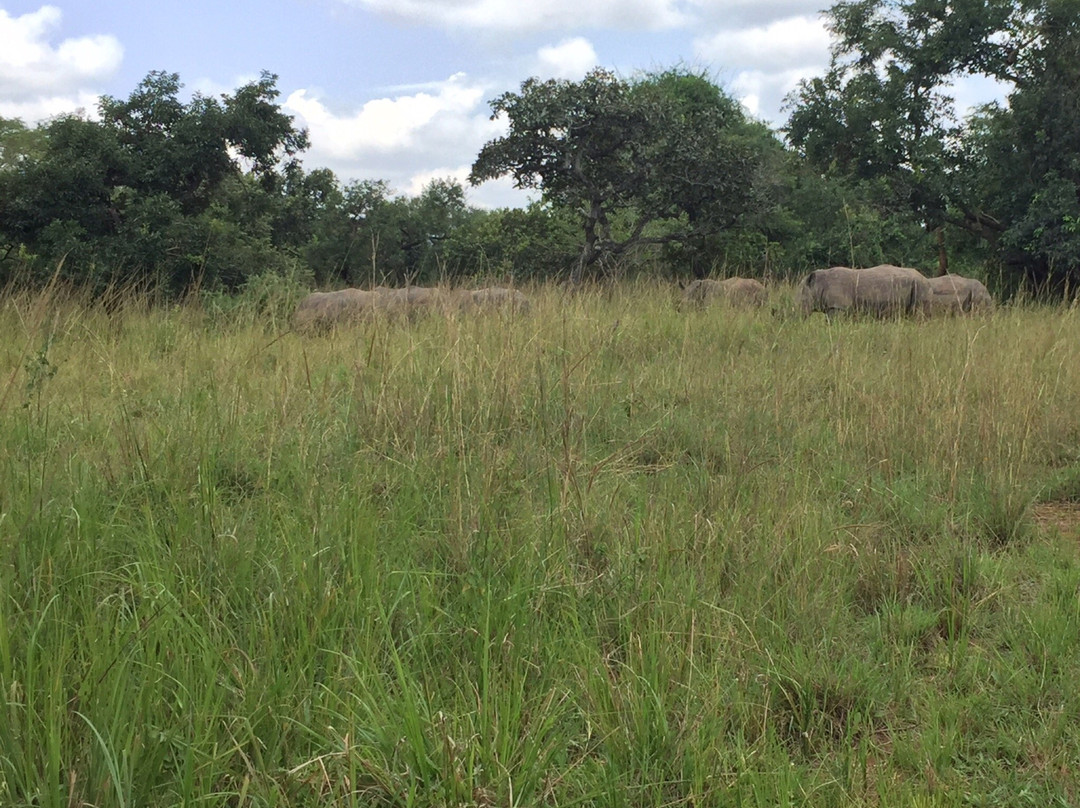 Rhino Fund Uganda-Nakitoma必去景点