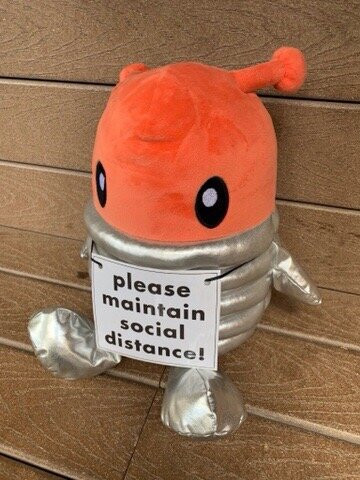 Ten Thousand Waves主图